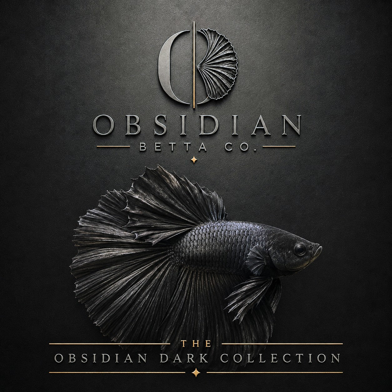 Obsidian Dark | Samurai, Vampire & Black Betta Fish UK