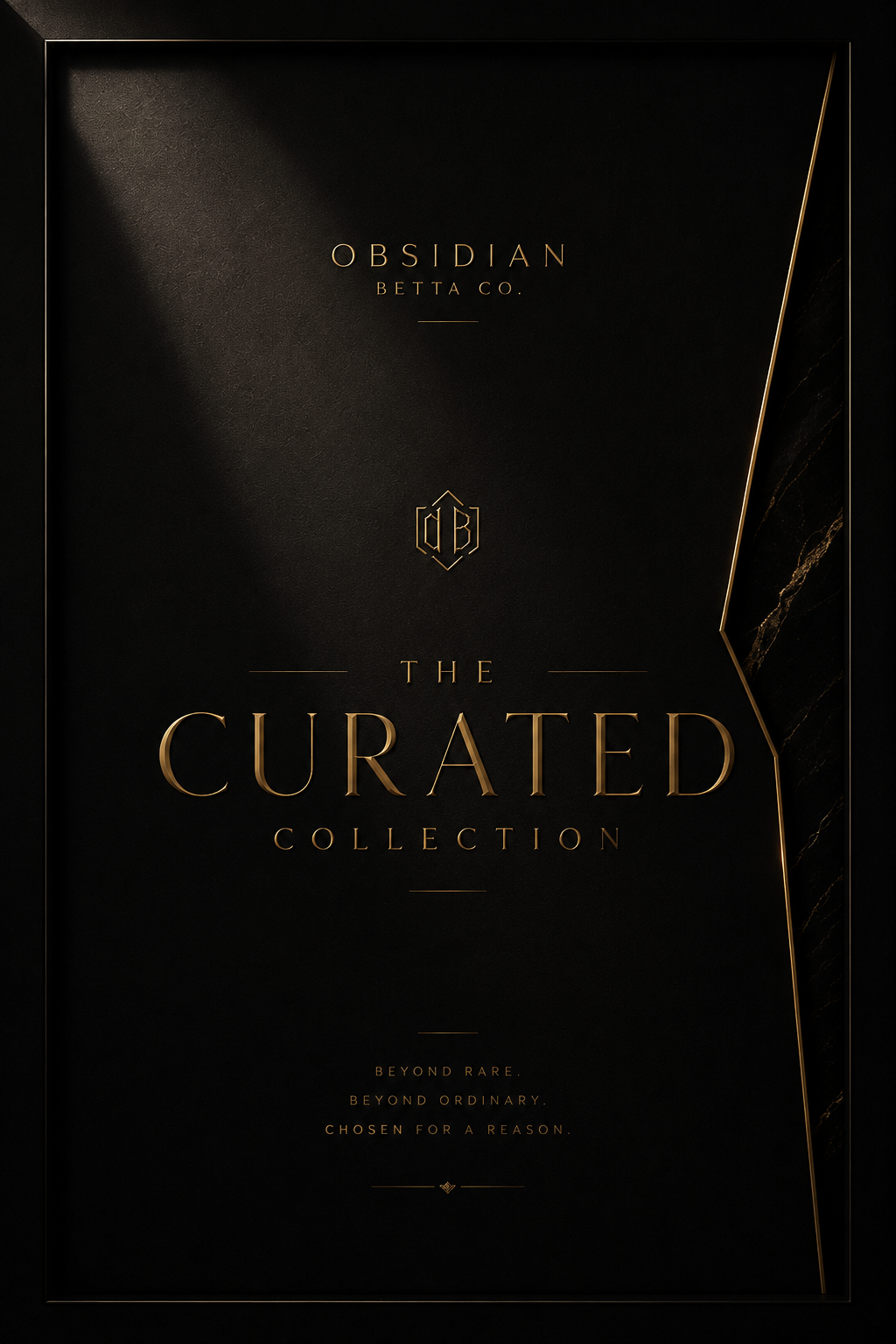 The Curated Collection